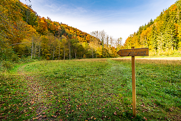 포토 JPG 해외이미지 호수 여행 잎 자연 휴가 휴식 사람없음 야외 물 여름 환경 골짜기 맑음 산책 트래킹 폭포 하이킹 흐름 에너지 가을 바위 물방울 시골 개울 보호 편안함 평형 해외포토 자연요소 식물 계절 컨셉 레저 날씨 강 수영 돌_바위 감각 생태계 파일형식 이미지허브