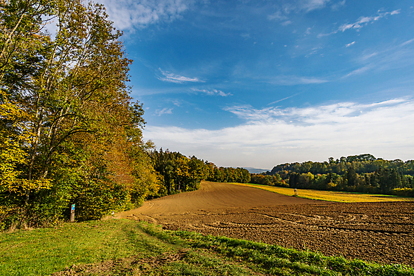 포토 JPG 해외이미지 호수 여행 잎 자연 휴가 휴식 사람없음 야외 물 여름 환경 골짜기 맑음 산책 트래킹 폭포 하이킹 흐름 에너지 가을 바위 물방울 시골 개울 보호 편안함 평형 해외포토 자연요소 식물 계절 컨셉 레저 날씨 강 수영 돌_바위 감각 생태계 파일형식 이미지허브