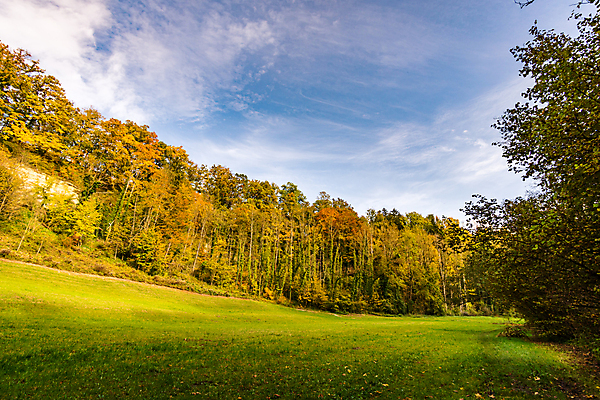 포토 JPG 해외이미지 호수 여행 잎 자연 휴가 휴식 사람없음 야외 물 환경 골짜기 맑음 산책 트래킹 폭포 하이킹 흐름 에너지 물방울 시골 개울 보호 편안함 평형 해외포토 자연요소 식물 컨셉 레저 날씨 강 수영 감각 생태계 파일형식 이미지허브