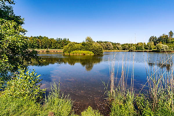 포토 JPG 해외이미지 주간 나무 계절 호수 자연 휴가 사람없음 야외 물 여름 농작물 강 환경 봄 산책 하이킹 자유 물방울 시골 연못 행운 오두막 오솔길 천국 수도원 방법 생태학 회복 해외포토 자연요소 식물 교육 길 컨셉 농업 레저 휴식 생태계 파일형식 이미지허브