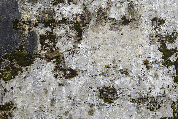 포토 JPG 해외이미지 벽 백그라운드 사람없음 균열 질감 시멘트 시멘트벽 해외포토 모션 파일형식 이미지허브