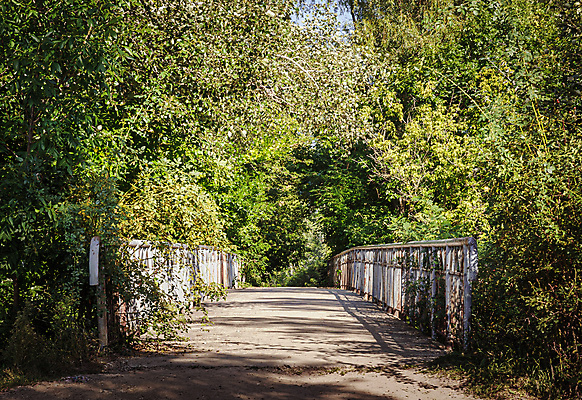 포토 JPG 해외이미지 나무 식물 외관 계절 도로 길 여행 백그라운드 잎 자국 자연 풍경 사람없음 야외 목재 초록색 여름 강 평화 환경 침묵 산책 산책로 하이킹 시골 숲 오솔길 내추럴 방법 옛날 우크라이나 해외포토 유럽 컬러 컨셉 재료 교통시설 레저 휴식 소리 생태계 파일형식 이미지허브