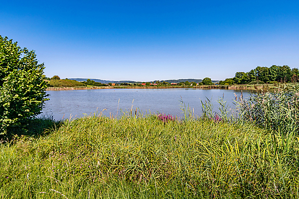 포토 JPG 해외이미지 주간 나무 계절 호수 바다 자연 휴가 사람없음 야외 물 여름 농작물 환경 봄 산책 하이킹 자유 물방울 시골 연못 행운 오두막 오솔길 천국 수도원 방법 생태학 회복 해외포토 자연요소 식물 교육 길 컨셉 농업 레저 휴식 생태계 파일형식 이미지허브