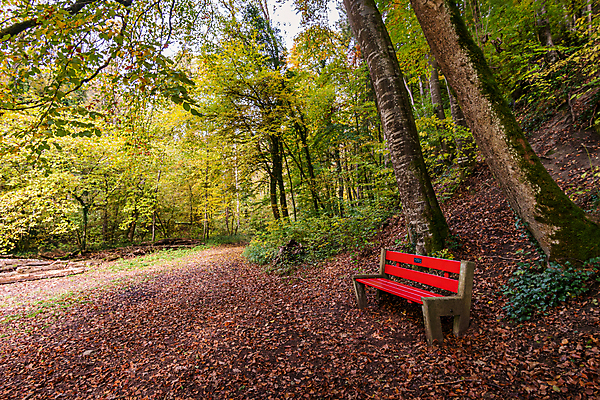 포토 JPG 해외이미지 호수 여행 잎 벤치 자연 휴가 휴식 사람없음 야외 물 여름 환경 골짜기 맑음 산책 트래킹 폭포 하이킹 흐름 에너지 가을 바위 물방울 시골 개울 보호 평형 해외포토 자연요소 식물 계절 컨셉 의자 레저 날씨 강 수영 돌_바위 생태계 파일형식 이미지허브