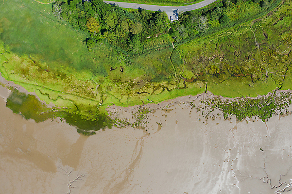 포토 JPG 해외이미지 나무 유럽 도로 모래 교통수단 바다 여행 자연 하늘 휴가 영국 잉글랜드 안테나 파노라마 해변 사람없음 야외 초록색 물 파란색 컬러풀 햇빛 해조류 보행로 그림 스카이라인 드론 인기 해외포토 자연요소 식물 나라 길 컬러 교통 통신 교통시설 촬영기법 태양 해양식물 생태계 파일형식 이미지허브