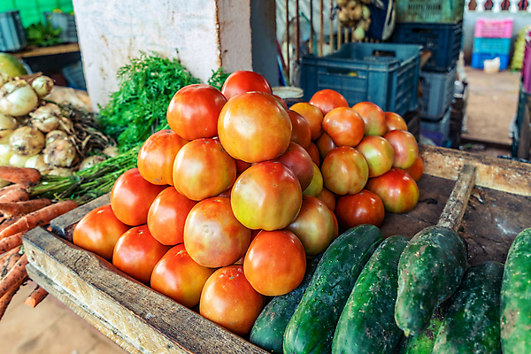 포토 JPG 해외이미지 전통 음식 농업 토마토 채소 과일 오이 건강 종류 서기 사람없음 판매 상점 신선 그룹 시장 열대과일 유기농 채식 날것 슈퍼마켓 매각 분양 줄서기 채식주의자 해외포토 웰빙 산업 모션 부동산 파일형식 이미지허브