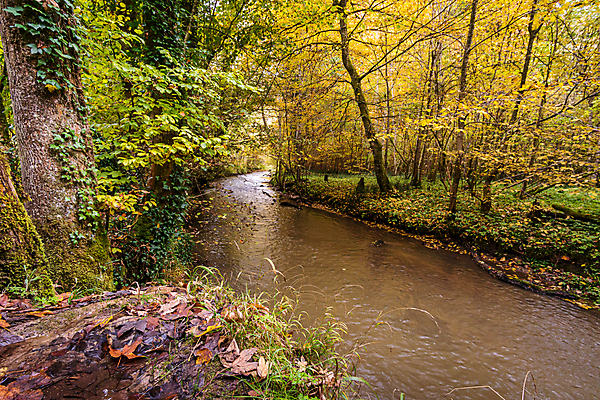 포토 JPG 해외이미지 호수 여행 잎 자연 휴가 휴식 사람없음 야외 물 여름 환경 골짜기 맑음 산책 트래킹 폭포 하이킹 흐름 에너지 가을 바위 물방울 시골 개울 보호 편안함 평형 해외포토 자연요소 식물 계절 컨셉 레저 날씨 강 수영 돌_바위 감각 생태계 파일형식 이미지허브