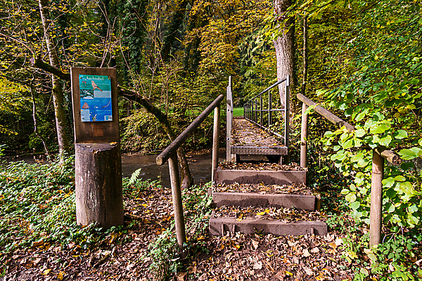 포토 JPG 해외이미지 호수 여행 잎 자연 휴가 휴식 사람없음 야외 물 여름 환경 골짜기 맑음 산책 트래킹 폭포 하이킹 흐름 에너지 가을 바위 물방울 시골 개울 보호 평형 해외포토 자연요소 식물 계절 컨셉 레저 날씨 강 수영 돌_바위 생태계 파일형식 이미지허브
