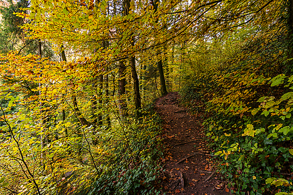 포토 JPG 해외이미지 호수 여행 잎 자연 휴가 휴식 사람없음 야외 물 여름 환경 골짜기 맑음 산책 트래킹 폭포 하이킹 흐름 에너지 가을 바위 물방울 시골 개울 보호 편안함 평형 해외포토 자연요소 식물 계절 컨셉 레저 날씨 강 수영 돌_바위 감각 생태계 파일형식 이미지허브