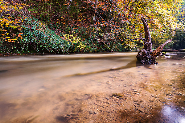 포토 JPG 해외이미지 호수 여행 잎 자연 휴가 휴식 사람없음 야외 물 여름 환경 골짜기 맑음 산책 트래킹 폭포 하이킹 흐름 에너지 가을 바위 물방울 시골 개울 보호 편안함 평형 해외포토 자연요소 식물 계절 컨셉 레저 날씨 강 수영 돌_바위 감각 생태계 파일형식 이미지허브