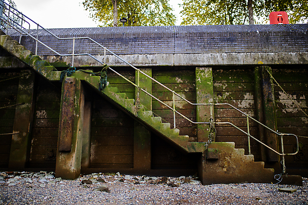 포토 JPG 해외이미지 주간 유럽 야생동물 모래 벽 여행 잎 자연 하늘 아침 영국 잉글랜드 파노라마 이끼 사람없음 야외 초록색 물 빛 강 햇빛 갈색 계단 습기 도시 심볼 그림 런던 암초 포트 왕국 철강 템스강 해외포토 자연요소 식물 동물 나라 컬러 촬영기법 태양 생태계 파일형식 이미지허브