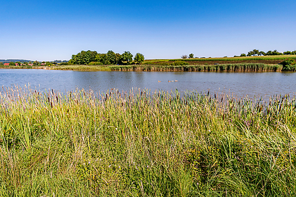 포토 JPG 해외이미지 주간 나무 계절 호수 바다 자연 휴가 사람없음 야외 물 여름 농작물 환경 봄 산책 하이킹 자유 물방울 시골 연못 행운 오두막 오솔길 천국 수도원 방법 생태학 회복 해외포토 자연요소 식물 교육 길 컨셉 농업 레저 휴식 생태계 파일형식 이미지허브