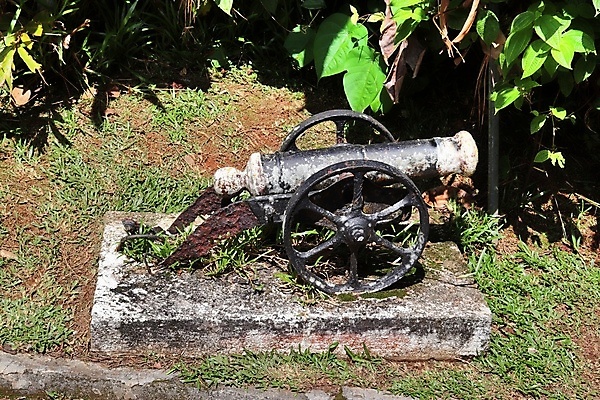 포토 JPG 해외이미지 나무 식물 공원 도로 길 모래 바다 섬 여행 잎 밭 농업 자연 하늘 휴가 산 손바닥 사람없음 야외 초록색 파란색 야자수 뷰티 환경 정원 시골 숲 코코넛 세이셸 내추럴 방법 파라다이스 해외포토 손 공공시설 산업 컬러 과일 교통시설 아프리카 생태계 파일형식 이미지허브