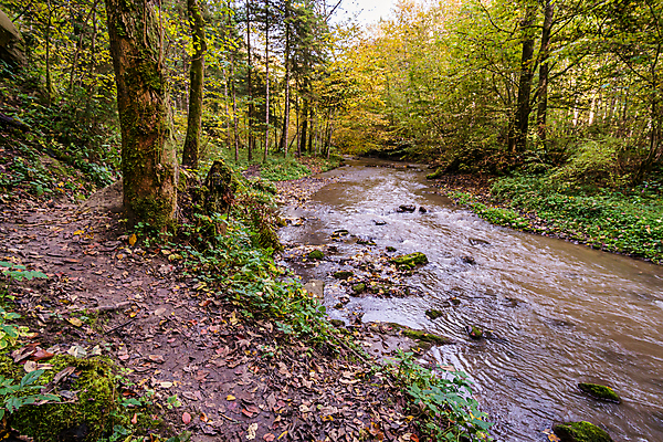 포토 JPG 해외이미지 호수 여행 잎 자연 휴가 휴식 사람없음 야외 물 여름 환경 골짜기 맑음 산책 트래킹 폭포 하이킹 흐름 에너지 가을 바위 물방울 시골 개울 보호 편안함 평형 해외포토 자연요소 식물 계절 컨셉 레저 날씨 강 수영 돌_바위 감각 생태계 파일형식 이미지허브