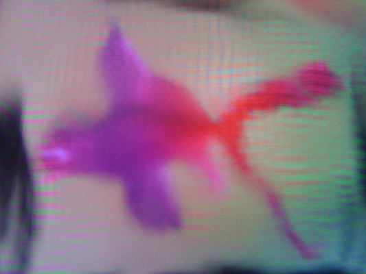 포토 JPG 해외이미지 모양 동물 템플릿 디자인 실루엣 바다 분홍색 백그라운드 패턴 자연 유리 표면 추상 어류 경사 사람없음 그래픽 물 파란색 빛 갈색 3D 보라색 검은색 수중 소리 방 회색 얼룩 투명 소프트포커스 심볼 질감 부드러움 광택 수족관 공상 내추럴 블러 환상 해외포토 자연요소 컬러 컨셉 무늬 재질 촬영기법 수중동물 감각 디지털합성 생태계 파일형식 이미지허브