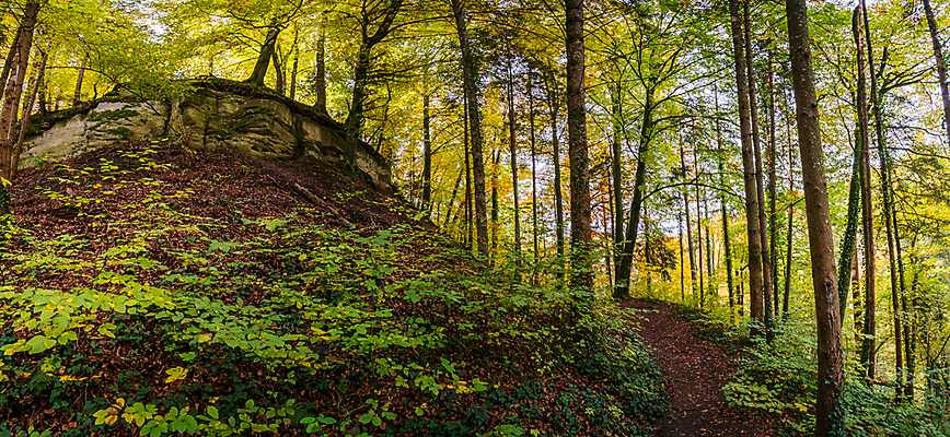 포토 JPG 해외이미지 호수 여행 잎 자연 휴가 휴식 사람없음 야외 물 여름 환경 골짜기 맑음 산책 트래킹 폭포 하이킹 흐름 에너지 가을 바위 물방울 시골 개울 보호 편안함 평형 해외포토 자연요소 식물 계절 컨셉 레저 날씨 강 수영 돌_바위 감각 생태계 파일형식 이미지허브