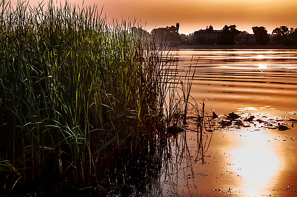 포토 JPG 해외이미지 나무 계절 공원 실루엣 파도 여행 오렌지 자연 하늘 아침 갈대 풍경 사람없음 야외 빛 강 햇빛 태양 반사 노란색 평화 우주 일출 맑음 침묵 새벽 안개 마법 넘어짐 우크라이나 카피스페이스 해외포토 주간 자연요소 식물 공공시설 유럽 바다 컬러 컨셉 과일 모션 날씨 촬영기법 노을 소리 공백 생태계 파일형식 이미지허브