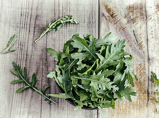 포토 JPG 해외이미지 식물 음식 백그라운드 잎 다이어트 채소 재료 실내 종류 사람없음 장식 초록색 봄 시골 신선 그룹 상추 허브 유기농 날것 향기 제비 내추럴 루꼴라 섞기 채식주의자 카피스페이스 해외포토 웰빙 계절 컬러 조류 건강 내부 공백 채식 냄새 파일형식 이미지허브