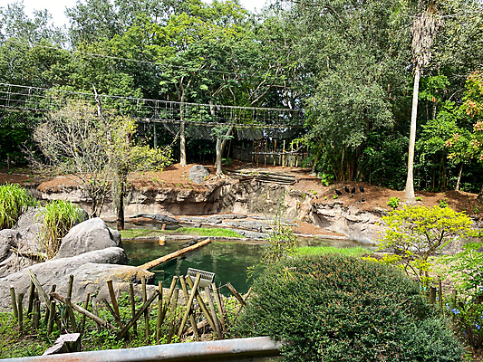 포토 JPG 해외이미지 동물 공원 아시아 야생동물 여행 비즈니스 가족 파충류 아프리카 자연 하늘 건조 동물원 사람없음 야외 컬러풀 태양 미국 사막 자녀 뜨거움 호주 숲 위험 큼 사파리 장면 악어 멸종 남쪽 소금물 왕국 플로리다 해외포토 자연요소 공공시설 나라 컬러 컨셉 북아메리카 관계 오세아니아 크기 방향 생태계 파일형식 이미지허브