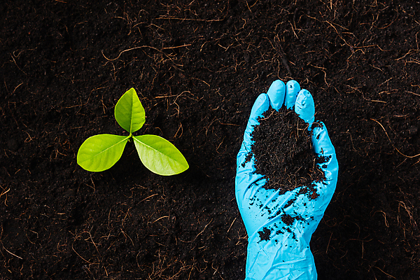 포토 JPG 해외이미지 나무 식물 손 지구 장갑 백그라운드 잎 농업 자연 새로움 사랑 씨앗 사람없음 초록색 농장 환경 정원 어둠 희망 흙 봄 성장 잡기 보호 숲 작음 에코 고무 돌봄 땅바닥 모종 묘목 생태학 윤리 해외포토 잡화 계절 교육 감정 산업 컬러 컨셉 모션 바닥 신체부위 크기 생태계 파일형식 이미지허브