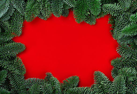 포토 JPG 해외이미지 나무 템플릿 디자인 배너 계절 행복 백그라운드 컨셉 크리스마스 겨울 휴가 새로움 프레임 사람없음 장식 빨간색 초록색 축제 화환 나뭇가지 축하 인사 소나무 신용카드 클래식 연도 초대 전나무 가문비나무 카피스페이스 해외포토 식물 기념일 꽃 감정 컬러 금융 공백 예절 파일형식 이미지허브
