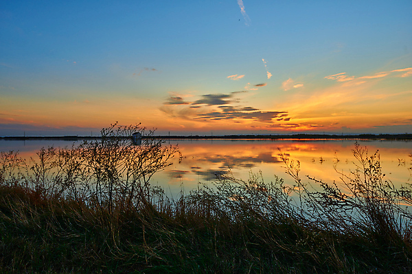 포토 JPG 해외이미지 공원 호수 바다 여행 백그라운드 오렌지 자연 하늘 휴식 사람없음 야외 물 파란색 빛 컬러풀 햇빛 태양 뷰티 반사 노란색 일출 황혼 일몰 저녁 방콕 수평선 해외포토 자연요소 공공시설 컬러 컨셉 과일 태국 노을 야간 생태계 파일형식 이미지허브