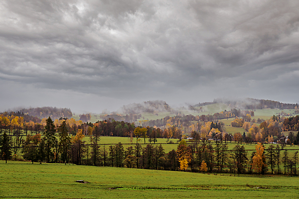 포토 JPG 해외이미지 나무 식물 계절 공원 유럽 길 백그라운드 단풍 잎 오렌지 자연 날씨 따뜻함 파노라마 사람없음 야외 목재 빨간색 초록색 빛 컬러풀 햇빛 뷰티 노란색 환경 맑음 침묵 안개 광선 시골 황금 숲 장면 내추럴 삼림지대 해외포토 공공시설 나라 컬러 과일 재료 촬영기법 태양 소리 생태계 파일형식 이미지허브