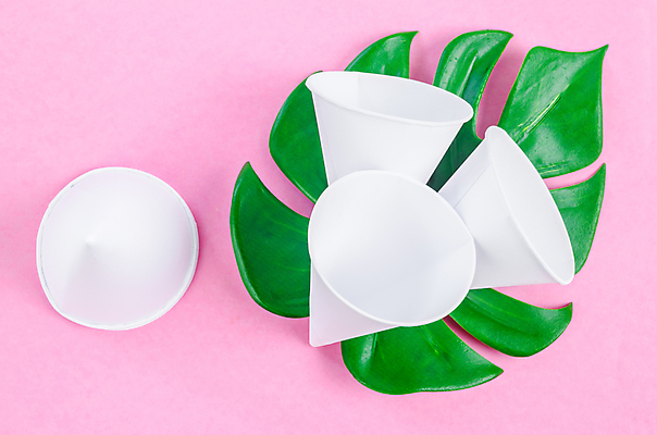 포토 JPG 해외이미지 실내 사람없음 자연보호 종이컵 일회용 오브젝트 에코 친환경 에코라이프 원뿔 몬스테라 분홍색배경 제로웨이스트 해외포토 도형 식물 라이프스타일 분홍색 백그라운드 자연 내부 컵 환경 그린캠페인 보호 사회이슈 파일형식 이미지허브