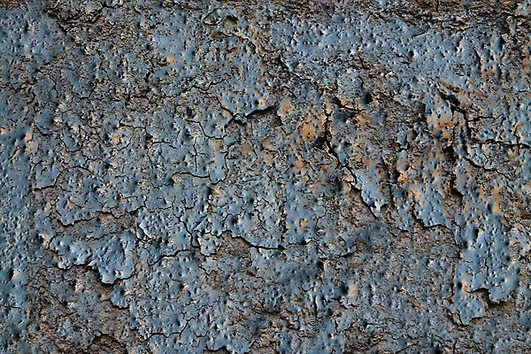 포토 JPG 해외이미지 디자인 벽 백그라운드 패턴 건축양식 표면 날씨 추상 사람없음 목재 빨간색 물 파란색 갈색 금속 수영 페인트 공백 회색 수확 흰색 거친 균열 철 묘사 부식 질감 시멘트 그런지 석고 옛날 철강 콘크리트 카피스페이스 해외포토 자연요소 나무 건축 컬러 무늬 농업 재료 모션 재질 수상스포츠 파일형식 이미지허브