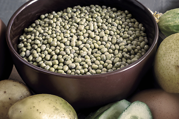 포토 JPG 해외이미지 계절 음식 조각 백그라운드 컨셉 농업 다이어트 채소 과일 재료 자연 콩 감자 건강 마늘 요리 사람없음 가로 빨간색 노란색 저녁식사 샐러드 흰색 신선 사과 오브젝트 상쾌 양배추 날것 후추 모음 제비 건강식 내추럴 숙성 채식주의자 카피스페이스 해외포토 감정 산업 컬러 조류 곡류 한글 식사 공백 향신료 생태계 채식 파일형식 이미지허브