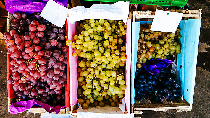 포토 JPG 해외이미지 식물 디자인 계절 열매 음식 백그라운드 잎 농업 과일 공 자연 포도 건강 미술 사람없음 야외 목재 빨간색 초록색 빛 태양 뷰티 바구니 정원 맑음 일몰 수확 성장 흰색 신선 선택 큼 다발 보따리 유기농 만들기 포도밭 포도나무 강렬 밭일 해외포토 자연요소 나무 웰빙 산업 컬러 컨셉 밭 재료 모션 날씨 문화예술 노을 크기 과일나무 생태계 파일형식 이미지허브