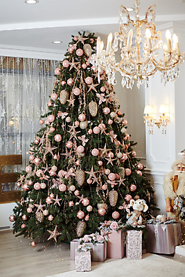 포토 JPG 해외이미지 나무 계절 행복 크리스마스 공 창문 아침 휴가 새로움 아파트 주택 기념 요정 실내 선물 사람없음 내부 장식 초록색 빛 상자 축제 화환 카펫 방 흰색 축하 황금 클래식 고급 편안함 담요 연도 벽난로 마법 전나무 리빙 광 해외포토 주간 식물 기념일 꽃 감정 컬러 컨셉 건물 감각 파일형식 이미지허브