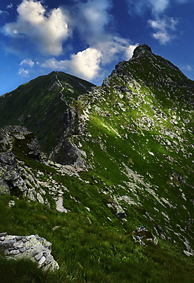 포토 JPG 해외이미지 나무 구름 계절 공원 유럽 여행 백그라운드 자연 하늘 산 파노라마 풍경 사람없음 초록색 여름 파란색 빛 환경 계곡 하이킹 바위 시골 숲 땅 언덕 산등성이 내추럴 슬로바키아 절정 그리너리 해외포토 자연요소 식물 공공시설 나라 컬러 레저 촬영기법 돌_바위 생태계 파일형식 트랜드컬러 이미지허브