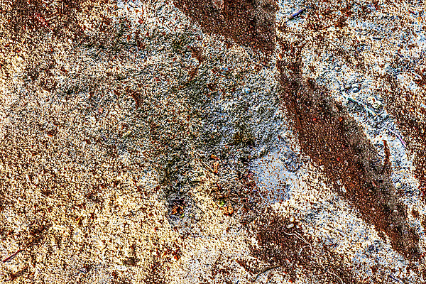 포토 JPG 해외이미지 지구 모래 벽 백그라운드 패턴 자연 표면 추상 건조 독일 사람없음 모래사장 갈색 노란색 금속 페인트 흙 회색 사막 조약돌 거친 질감 대리석 시멘트 먼지 내추럴 그런지 땅바닥 옛날 콘크리트 화강암 카피스페이스 해외포토 유럽 바다 컬러 무늬 재료 재질 바닥 공백 암석 돌_바위 생태계 파일형식 이미지허브