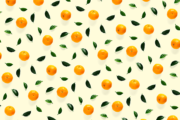 포토 JPG 해외이미지 잎 패턴 귤 사람없음 노란배경 해외포토 식물 백그라운드 무늬 과일 노란색 파일형식 이미지허브