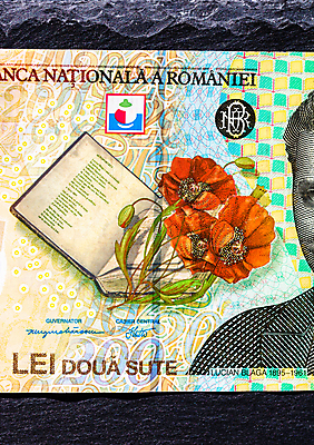 포토 JPG 해외이미지 유럽 종이 백그라운드 컨셉 지폐 돈 비즈니스 사람없음 금융 경제 쇼핑 저축 재산 투자 루마니아 계산서 부정부패 유럽연합 해외포토 나라 파일형식 이미지허브