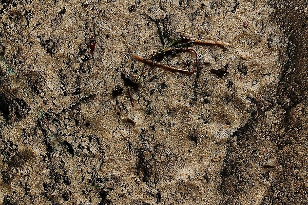 포토 JPG 해외이미지 지구 모래 벽 백그라운드 패턴 자연 표면 추상 건조 독일 사람없음 모래사장 갈색 노란색 금속 페인트 흙 회색 사막 조약돌 바위 거친 질감 대리석 시멘트 먼지 내추럴 그런지 땅바닥 옛날 콘크리트 화강암 카피스페이스 해외포토 유럽 바다 컬러 무늬 재료 재질 바닥 공백 암석 돌_바위 생태계 파일형식 이미지허브