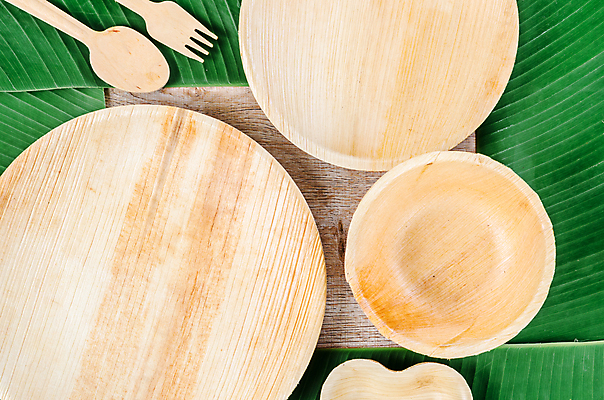 포토 JPG 해외이미지 잎 실내 사람없음 하이앵글 자연보호 에코 친환경 에코라이프 나무숟가락 나무그릇 나무받침 나무접시 나무포크 친환경제품 제로웨이스트 나무배경 해외포토 식물 라이프스타일 그릇 접시 뷰포인트 백그라운드 포크 자연 내부 목재 환경 숟가락 그린캠페인 보호 사회이슈 받침대 파일형식 이미지허브