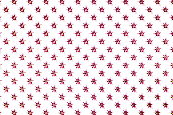 포토 JPG 해외이미지 식물 디자인 꽃잎 꽃 분홍색 꽃다발 결혼 백그라운드 잎 꽃무늬 자연 휴가 사람없음 장식 빨간색 초록색 뷰티 노란색 정원 봄 벚꽃 흰색 축하 신선 개화 우아함 묘사 꽃가루 내추럴 고립 엘리먼트 해외포토 계절 컬러 컨셉 무늬 이벤트 가루 생태계 파일형식 이미지허브