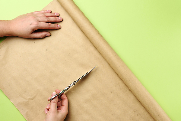 포토 JPG 해외이미지 손 종이 신체부위 연두색 하이앵글 갈색 잡기 자르기 종이호일 해외포토 뷰포인트 컬러 모션 사람 초록색 파일형식 이미지허브