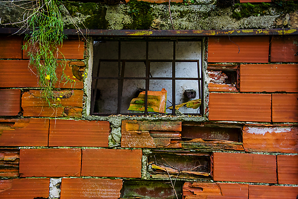 포토 JPG 해외이미지 전통 외관 유럽 벽 백그라운드 패턴 건축양식 창문 날씨 벽돌 출입구 주택 프레임 사람없음 야외 건물 목재 빨간색 초록색 농장 갈색 문 마을 정원 이탈리아 수확 골동품 시골 도시 거친 버리기 묘사 질감 복고 외양간 그런지 옛날 해외포토 나무 건축물 건축 나라 컬러 무늬 농업 재료 모션 파일형식 이미지허브