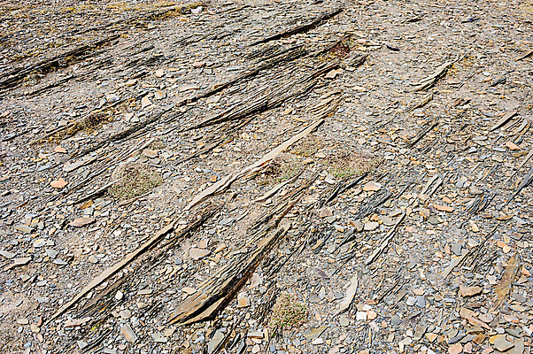 포토 JPG 해외이미지 캐나다 자연 표면 추상 사람없음 야외 갈색 회색 조약돌 바위 거친 가장자리 파편 묘사 부식 질감 날카로움 암초 내추럴 고체 앨버타 옛날 울퉁불퉁 지질학 불규칙 막 해외포토 교육 컬러 컨셉 북아메리카 무늬 돌_바위 둘레 생태계 파일형식 이미지허브