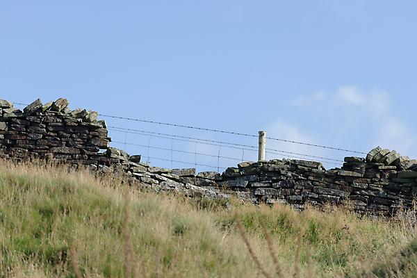 포토 JPG 해외이미지 식물 계절 벽 밭 농업 하늘 영국 건조 따뜻함 그림자 경사 사람없음 야외 옆모습 파란색 울타리 농장 환경 맑음 경계선 시골 가장자리 저녁 요크셔테리어 언덕 철사 암초 내추럴 밭일 블러 해외포토 유럽 산업 선 뷰포인트 컬러 날씨 담장 둘레 야간 테리어 경계 파일형식 이미지허브