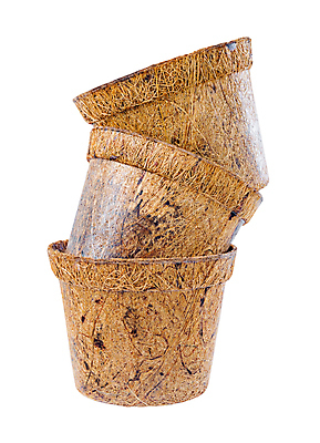 포토 JPG 해외이미지 화분 실내 사람없음 쌓기 자연보호 껍질 세개 흰배경 에코 친환경 코코넛 섬유 에코라이프 친환경제품 제로웨이스트 해외포토 라이프스타일 백그라운드 과일 모션 자연 3 내부 환경 그린캠페인 흰색 직물 보호 사회이슈 파일형식 이미지허브