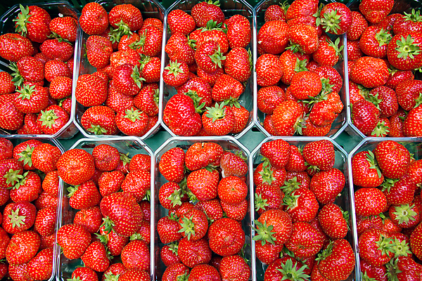 포토 JPG 해외이미지 계절 열매 음식 조각 백그라운드 농업 다이어트 과일 자연 벽지 딸기 디저트 건강 사랑 씨앗 사람없음 빨간색 초록색 봄 활발 샐러드 신선 시장 달콤 맛 아침식사 먹기 상쾌 에코 유기농 열정 칼로리 분양 생태학 채식주의자 해외포토 식물 웰빙 교육 감정 산업 컬러 컨셉 모션 부동산 환경 식사 생태계 채식 파일형식 이미지허브