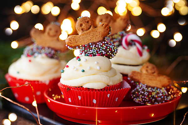 포토 JPG 해외이미지 기념일 크리스마스 휴가 디저트 전등 사람없음 쿠키 케이크 대접 달콤 맛 뿌리기 프로스팅 해외포토 음식 컨셉 모션 조명 이벤트 제빵 파일형식 이미지허브