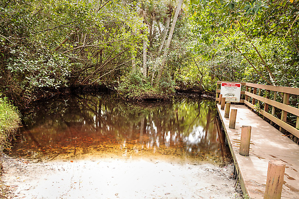 포토 JPG 해외이미지 나무 공원 길 여행 자연 사람없음 물 산책로 하이킹 보호 습지 수로 생태학 해외포토 자연요소 식물 공공시설 교육 컨셉 레저 생태계 파일형식 이미지허브