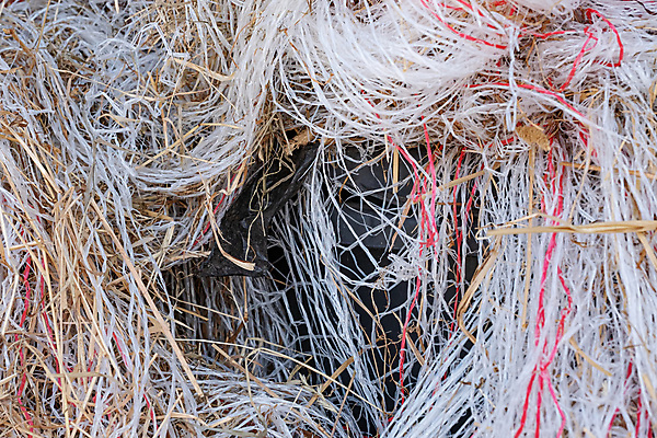 포토 JPG 해외이미지 산업 종이 도로 백그라운드 컨셉 가방 포장 자연 사람없음 야외 쌓기 환경 재활용 쓰레기통 도시 투명 그룹 환경오염 던지기 쓰레기 폐기물 플라스틱 다발 묶기 버리기 가득함 먼지 자루 지역 패키지 문제 낭비 구김 생태학 옛날 많음 해외포토 잡화 교육 길 교통시설 모션 재질 친환경 생태계 파일형식 이미지허브