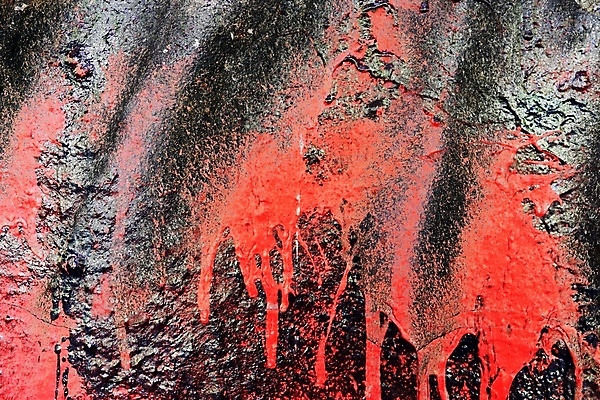 포토 JPG 해외이미지 나무 디자인 종이 벽 백그라운드 패턴 자연 벽지 표면 날씨 추상 미술 사람없음 목재 파란색 컬러풀 갈색 금속 페인트 회색 수확 바위 거친 질감 복고 시멘트 나무껍질 내추럴 그런지 옛날 콘크리트 화강암 카피스페이스 해외포토 식물 컬러 무늬 농업 재료 재질 문화예술 공백 껍질 암석 돌_바위 생태계 파일형식 이미지허브