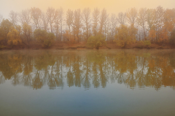 포토 JPG 해외이미지 나무 공원 도로 길 여행 잎 자연 요정 풍경 사람없음 야외 강 컬러풀 반사 노란색 활발 거울 안개 가을 나뭇가지 시골 황금 숲 11월 마법 루마니아 10월 다뉴브강 뿌연 전국 해외포토 식물 계절 공공시설 유럽 컬러 컨셉 교통시설 날씨 날짜 생태계 파일형식 이미지허브